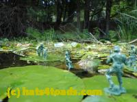 /home//u458753944/public_html/sourcegallery//Frogs/Bullfrogs 2016-08 Ontario/P8081393.JPG